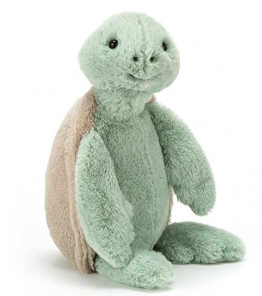 3774 Med Turtle Bashful
